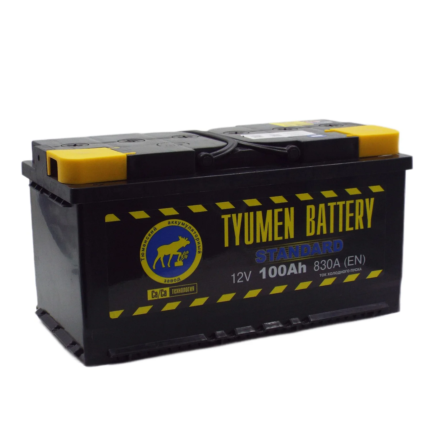 Аккумулятор Тюмень Standard 100 Ач п.п.