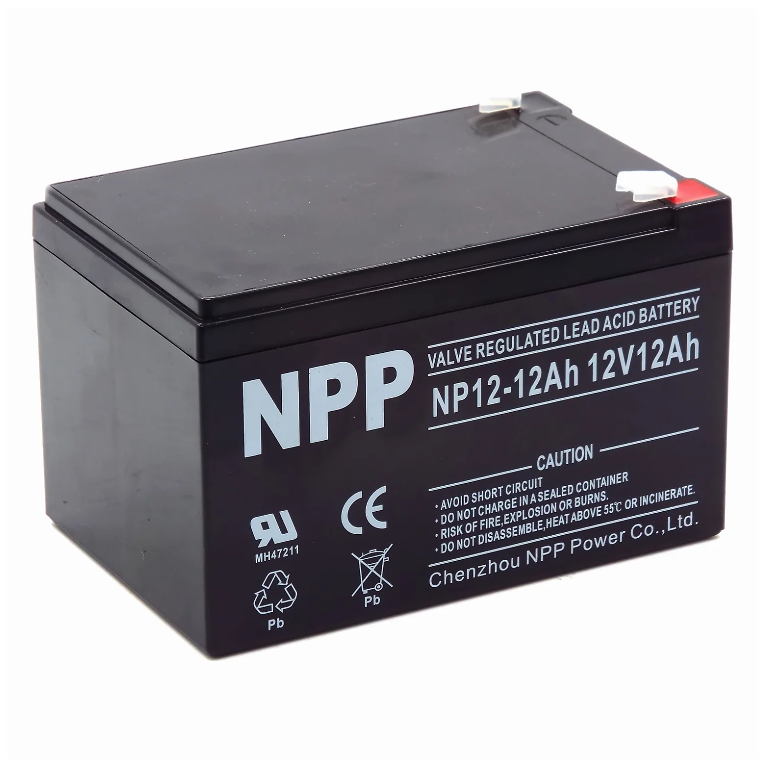 Аккумулятор NPP NP 12-12 (универсальный) Фото 1